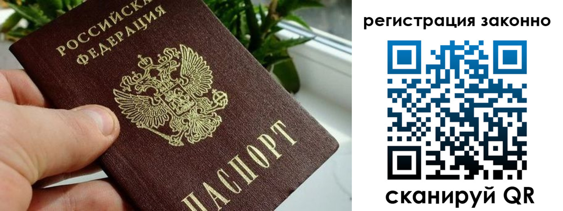 прописка гарантия в Белореченске
